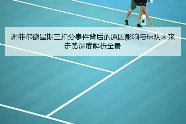 谢菲尔德星期三扣分事件背后的原因影响与球队未来走势深度解析全景