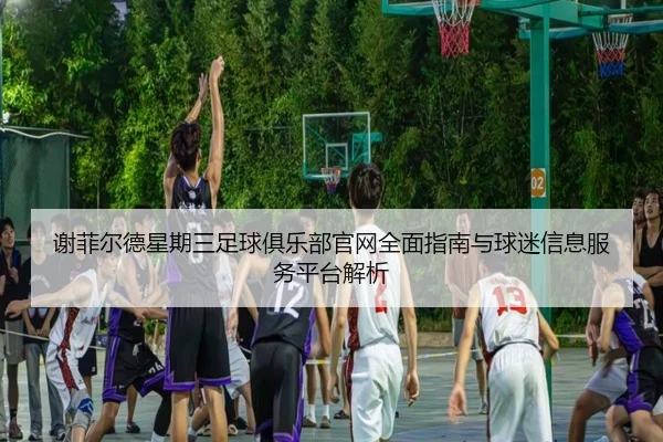 xie-fei-er-de-xing-qi-san-zu-qiu-ju-le-bu-guan-wang-quan-mian-zhi-nan-yu-qiu-mi-xin-xi-fu-wu-ping-tai-jie-xi-2-250.jpg